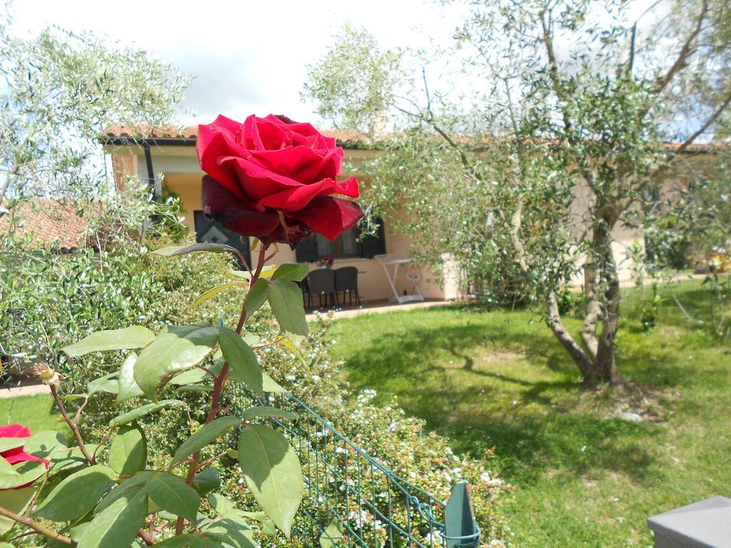 Maison d'hôtes Poggio Degli Olivi à Saturnia Extérieur photo