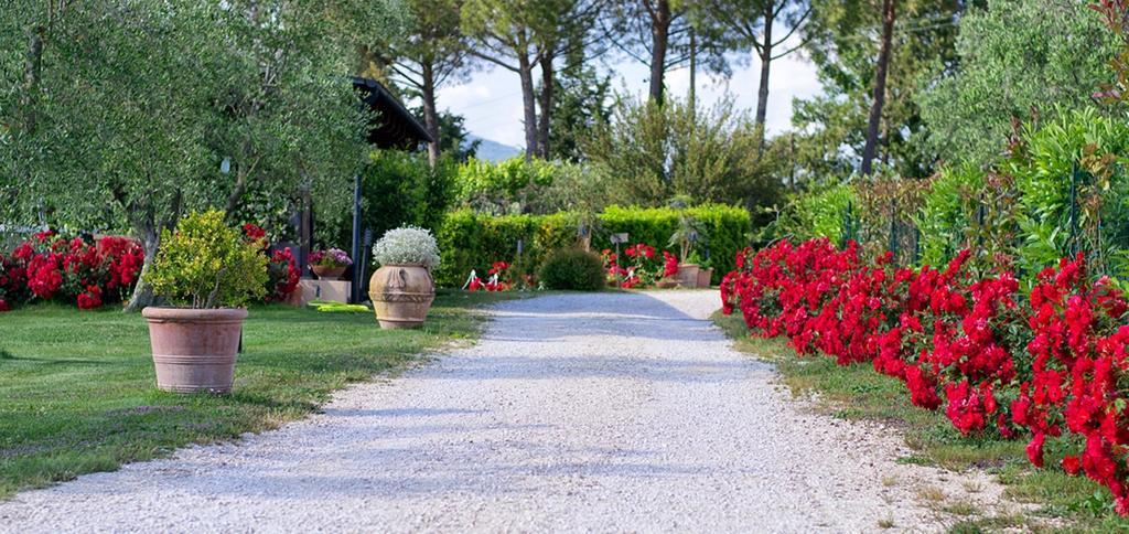 Maison d'hôtes Poggio Degli Olivi à Saturnia Extérieur photo